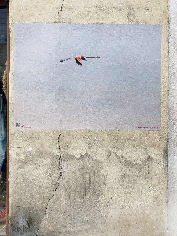 Arles Photography Photo Festival Mick Morley