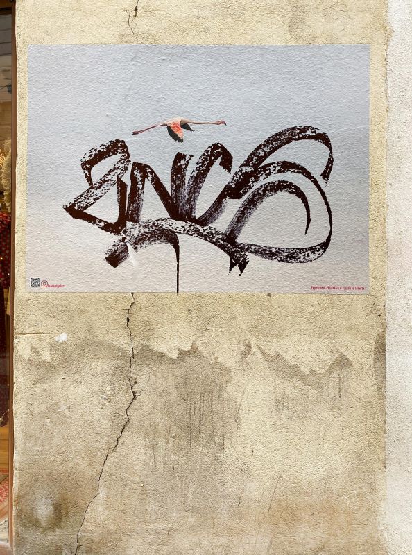 Arles Photography Photo Festival Mick Morley