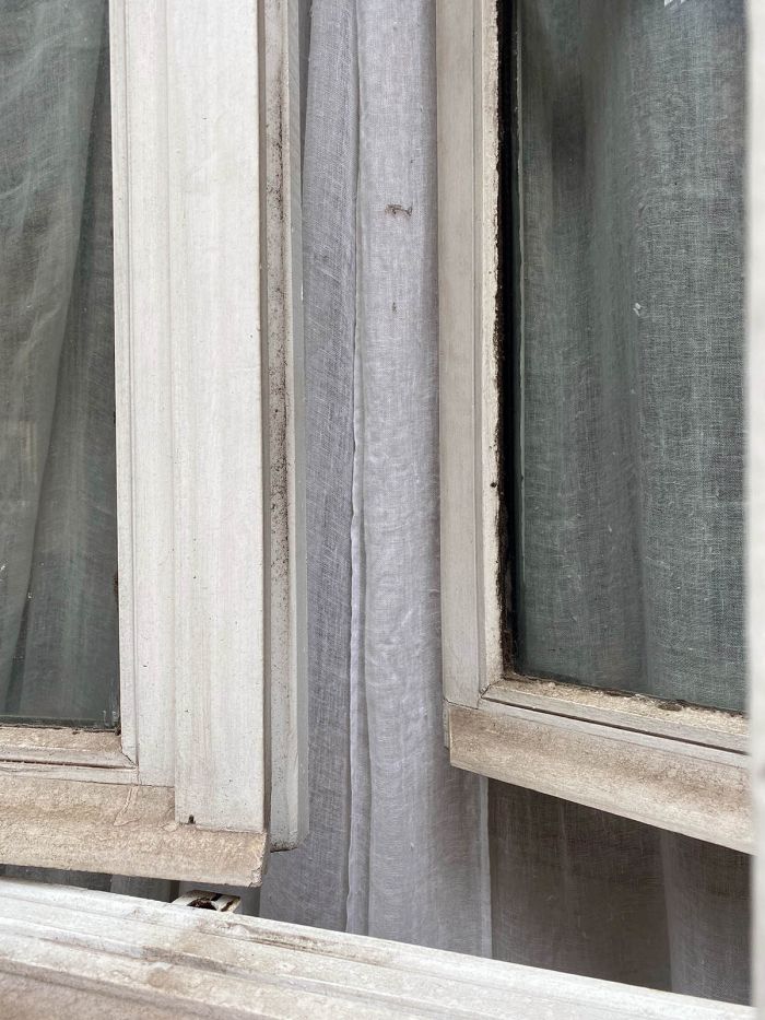Paris Window Mick Morley