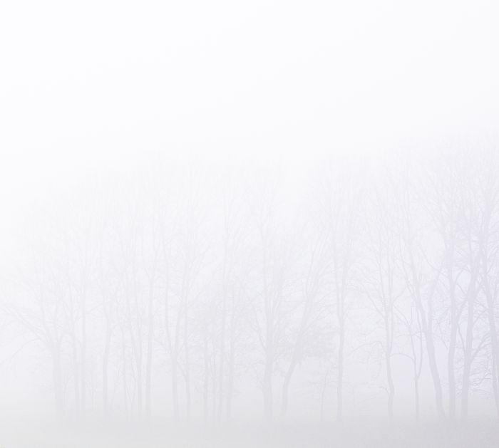 Fog Mühlviertel Mick Morley