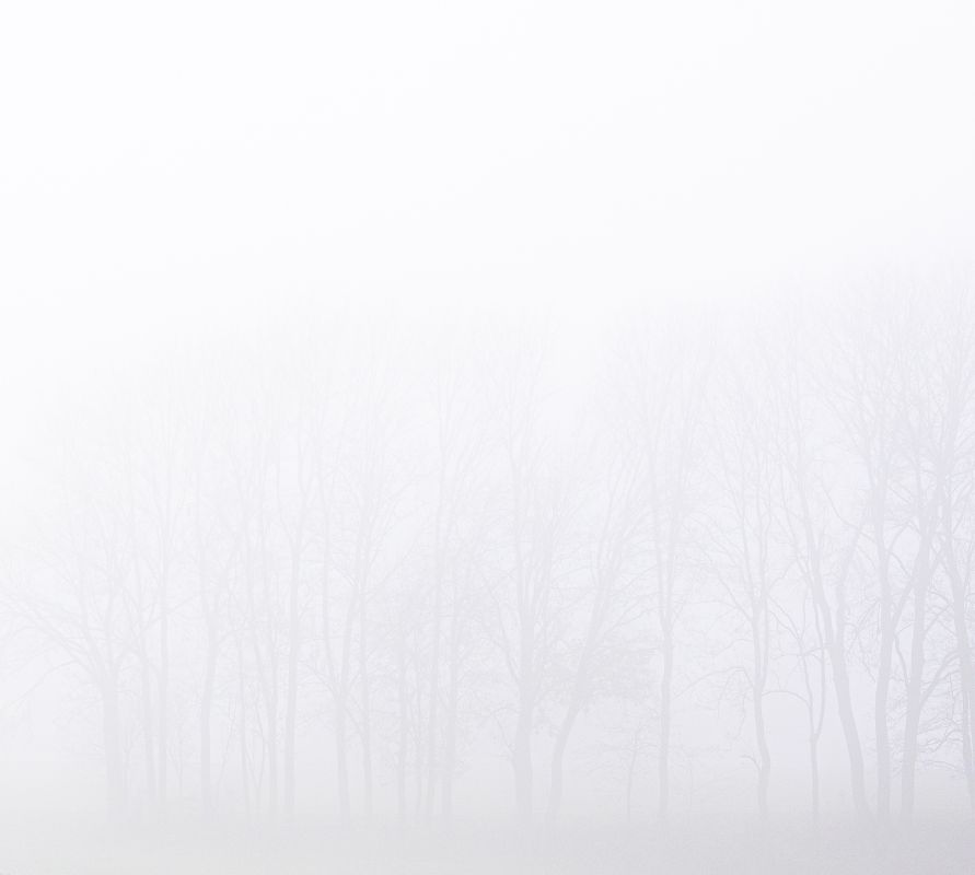 Fog Mühlviertel Mick Morley